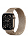 Milanese Loop 42