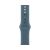 Apple Watch Series 11, 42 mm, Nalural Titanium GPS+Cellular, Anchor blue Sport Band M/L