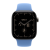 Apple Watch Series 12, 42 mm, Natural Titanium GPS+Cellular Wildflower Blue Sport Band M/L