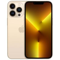 Смартфон Apple iPhone 13 Pro Max 1024GB Gold