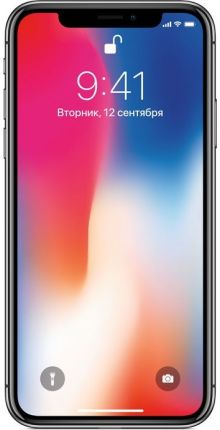 Apple iPhone X 64 ГБ Серый космос UA